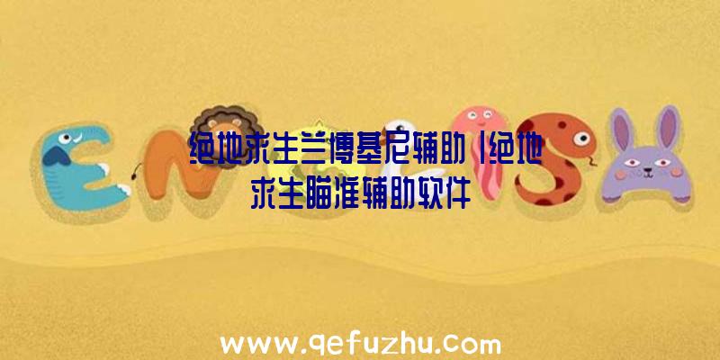 「绝地求生兰博基尼辅助」|绝地求生瞄准辅助软件